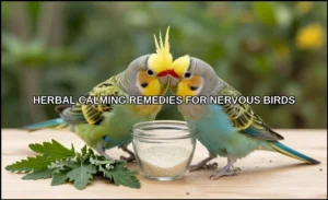 Herbal calming remedies for nervous birds