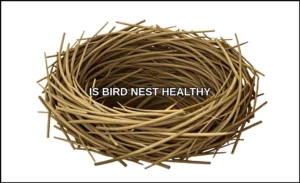 Is bird nest healthy