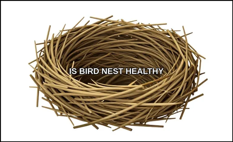 Is bird nest healthy