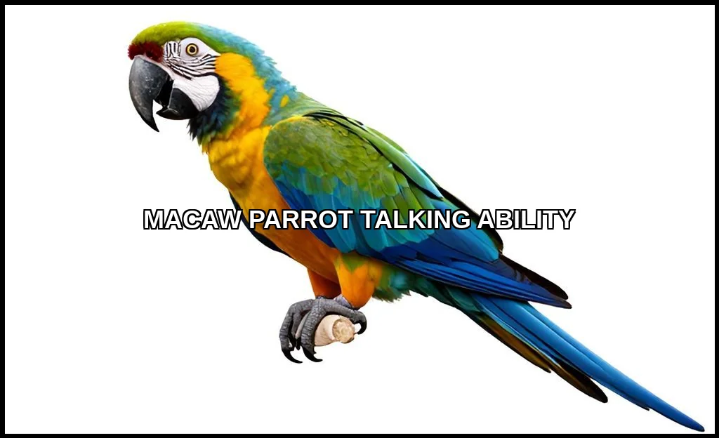 Macaw parrot talking ability