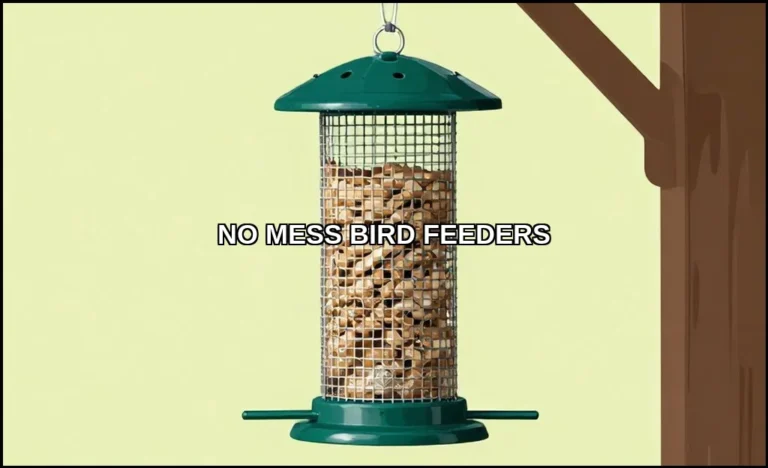 No mess bird feeders