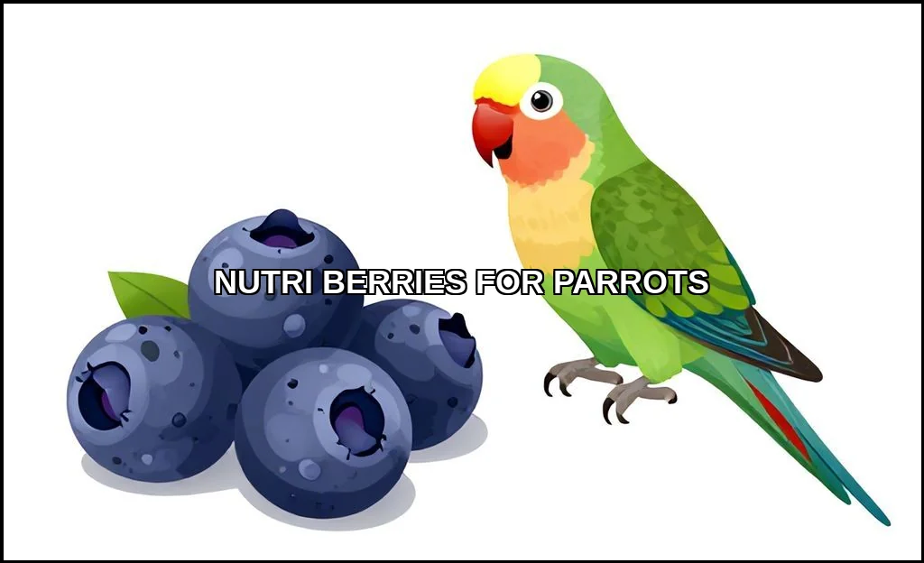 Nutri berries for parrots