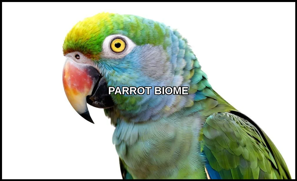 Parrot biome
