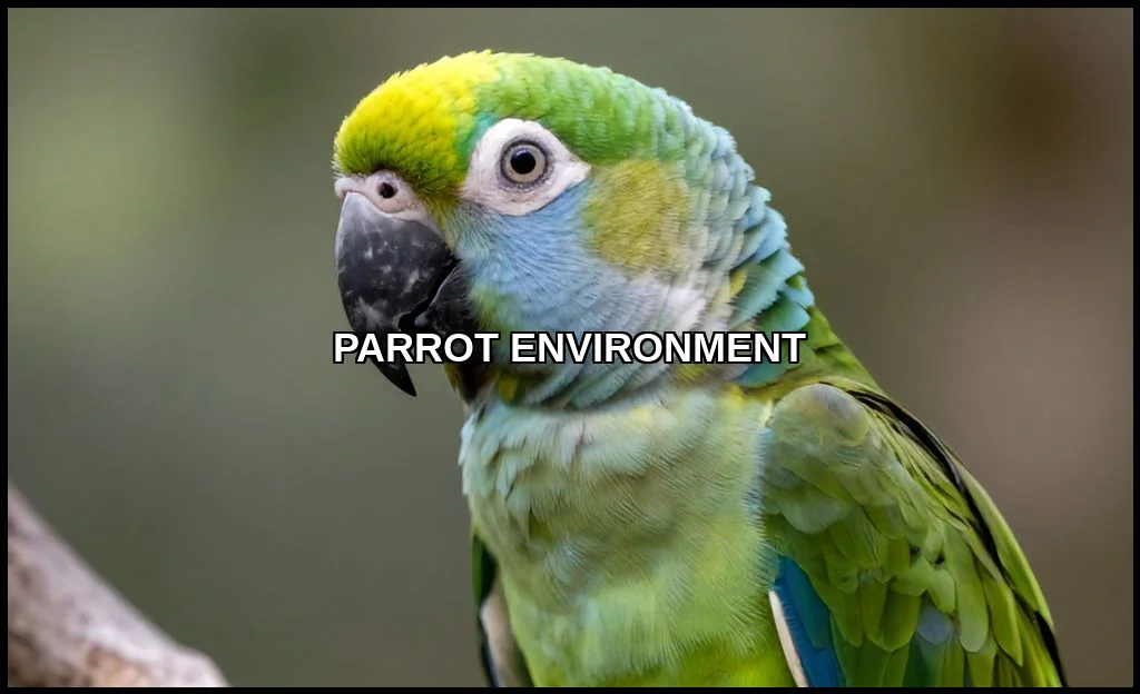 Parrot environment