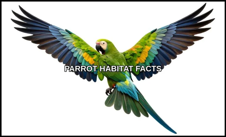 Parrot habitat facts