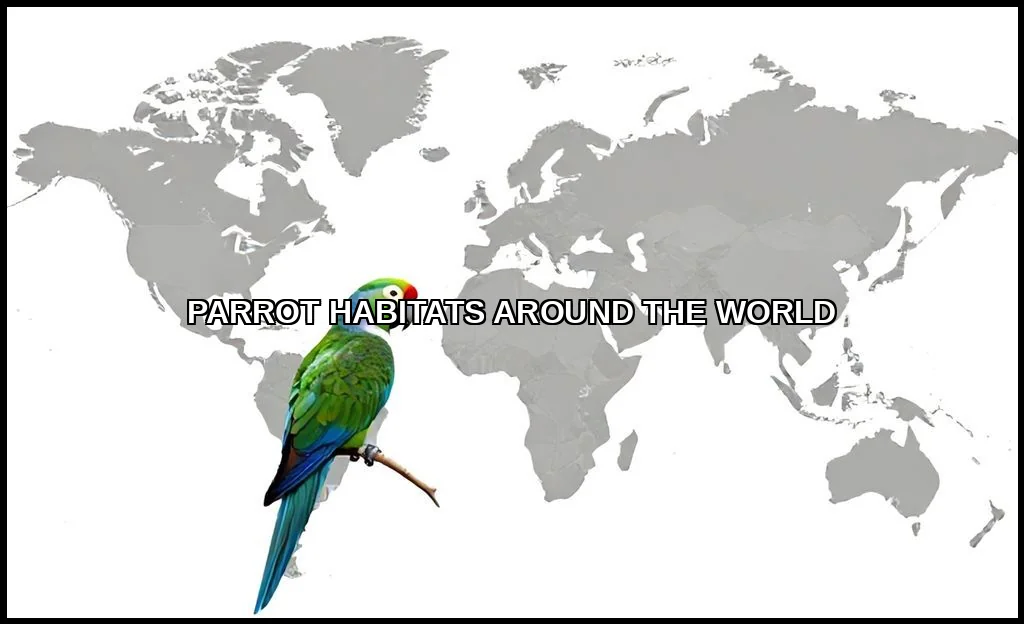 Parrot habitats around the world