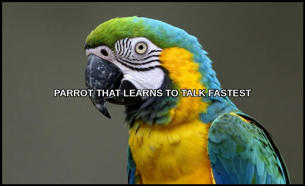 Parrot that learns to talk fastest