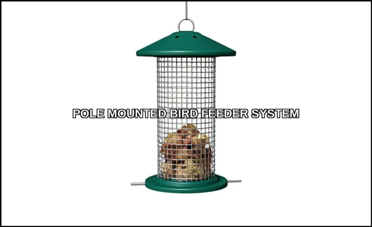 Pole mounted bird feeder system