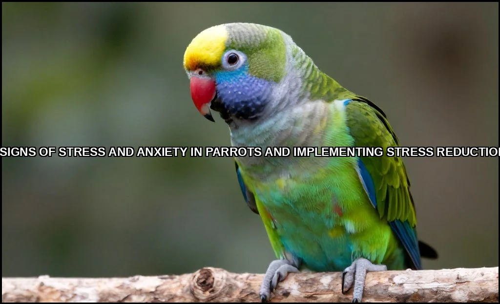 Recognizing signs of stress and anxiety in parrots