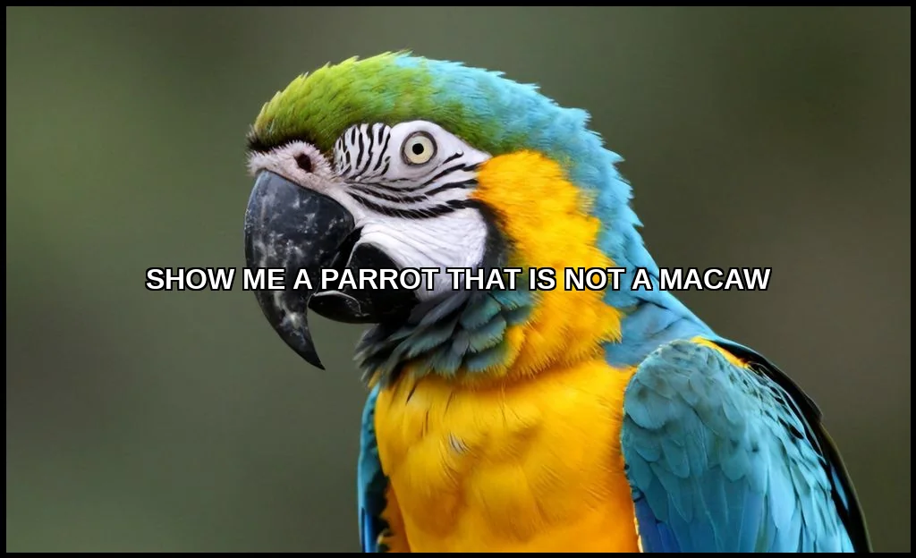 Show me a parrot that is not a macaw