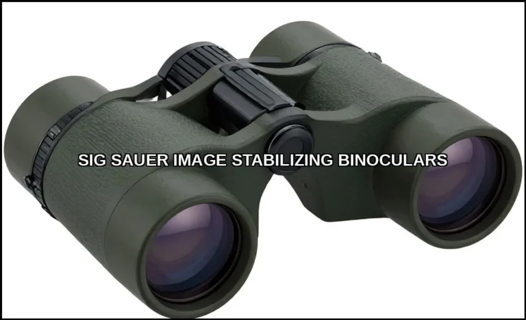 Sig sauer image stabilizing binoculars