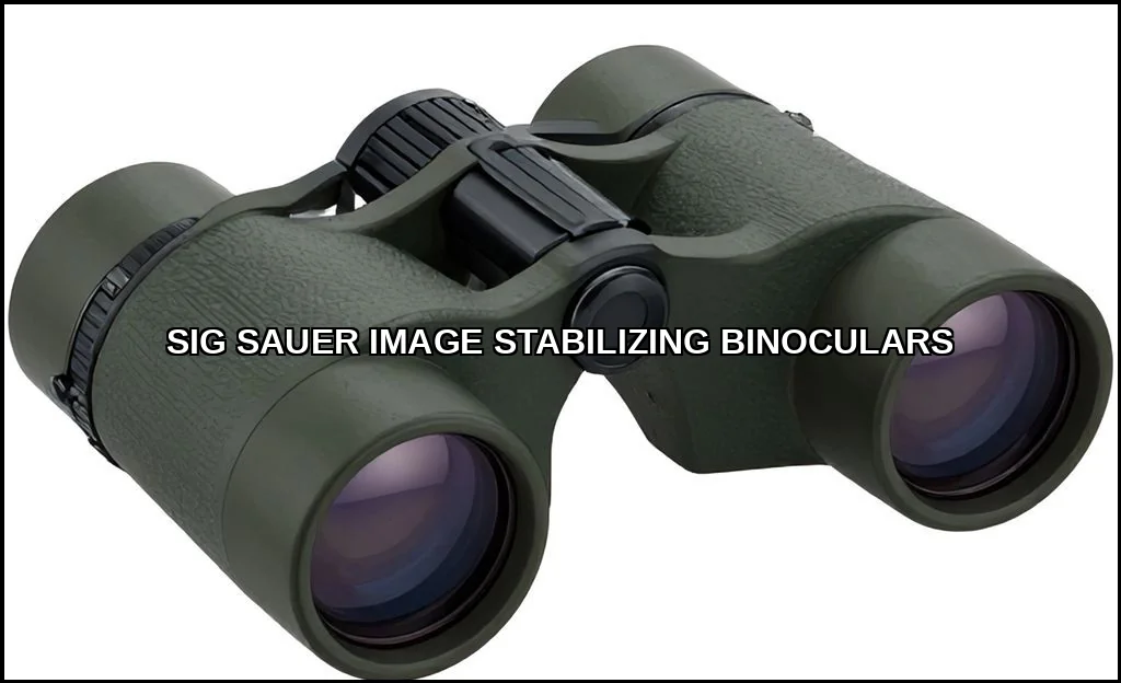 Sig sauer image stabilizing binoculars