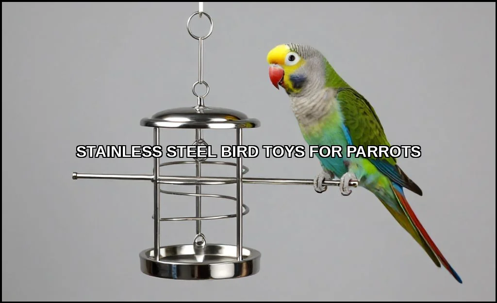 Stainless steel bird toys for parrots