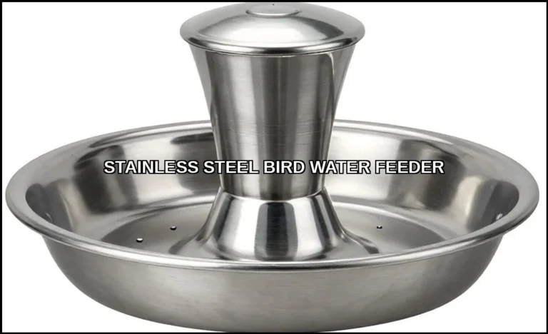 Stainless steel bird water feeder