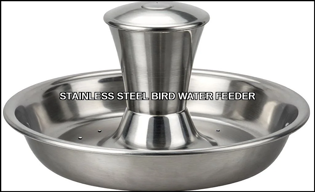 Stainless steel bird water feeder