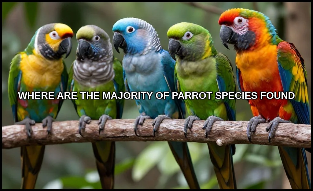 Where are the majority of parrot species found