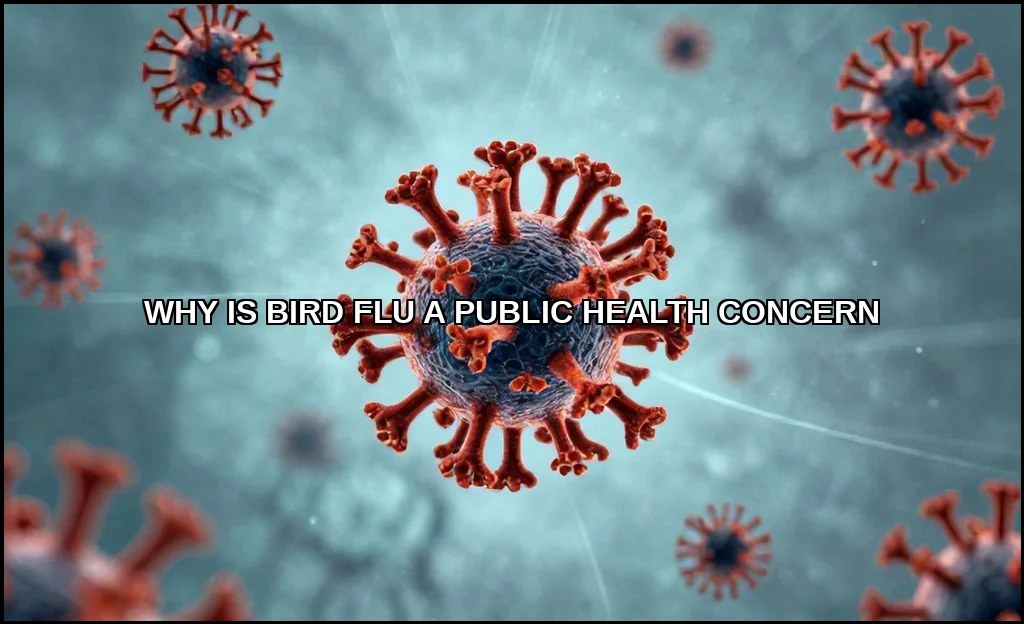 Why is bird flu a public health concern