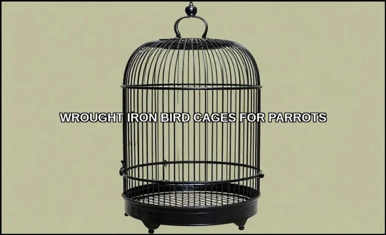 Wrought iron bird cages for parrots