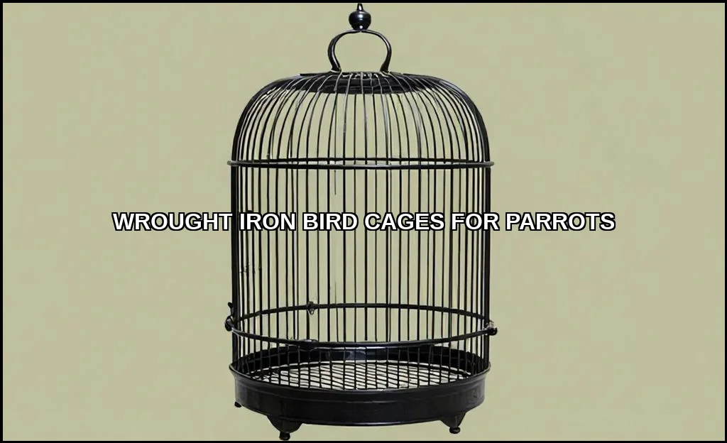 Wrought iron bird cages for parrots