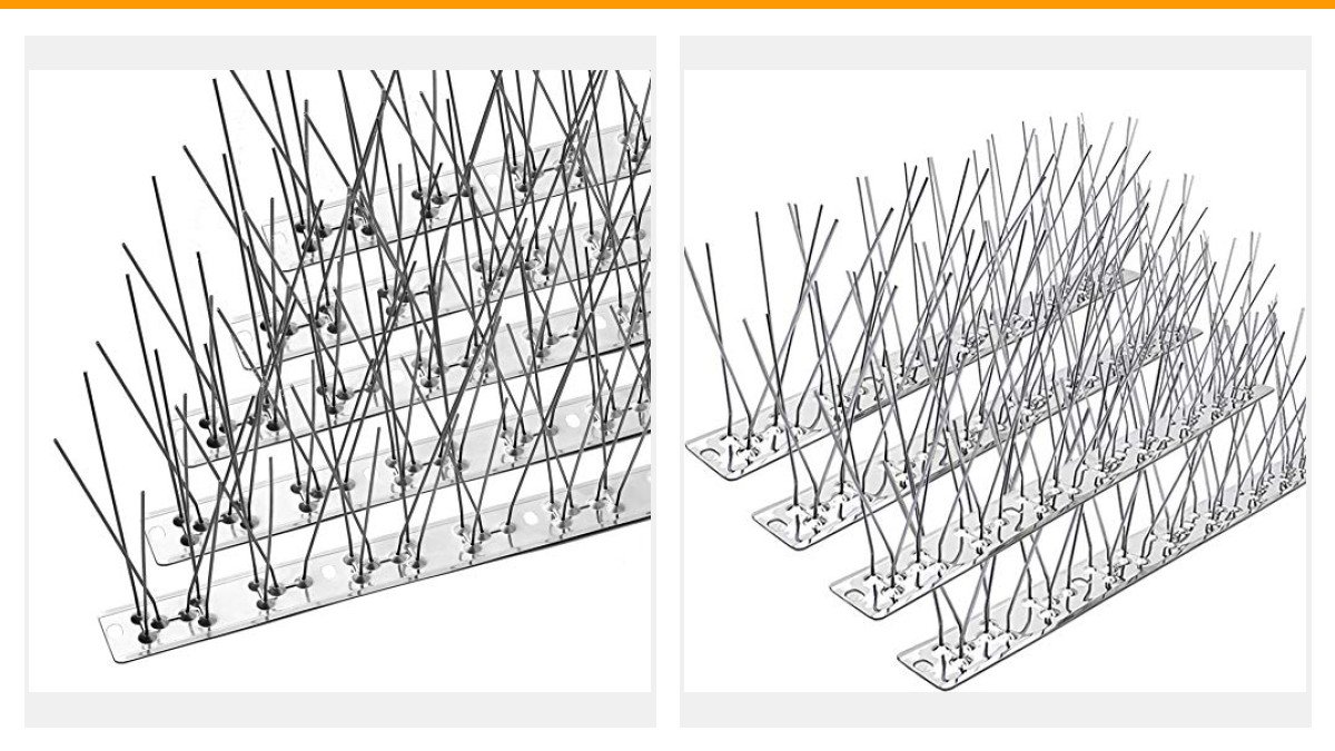 best bird deterrent spikes